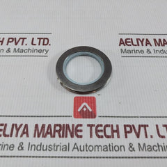 Nippon Pillar 2600Ir-eso-x163 Spiral Wound Gasket With An Inner Ring G-3 4. 8T