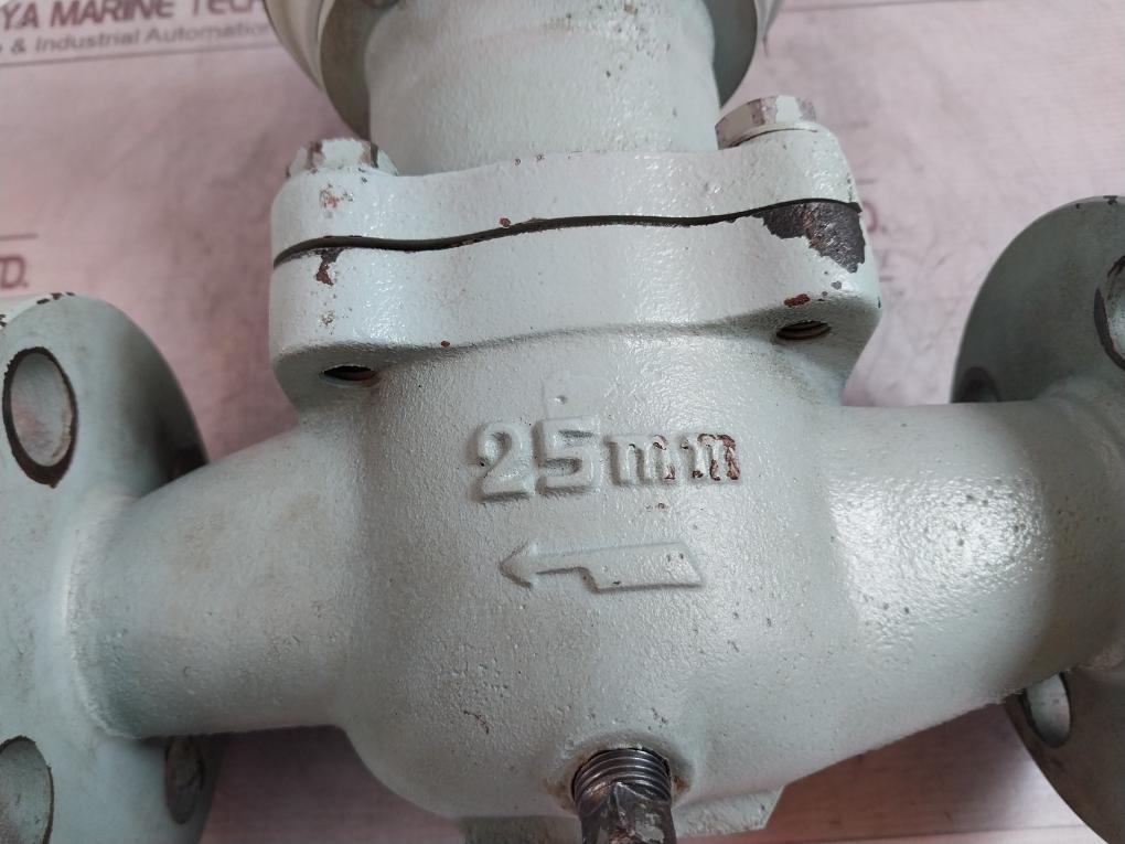 Nitto Seiko B-fh25B Flow Meter 25Mm 5000 L/H A1512-7 10 Kg/Cm2