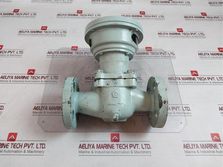 Nitto Seiko B-fh25B Flow Meter 25Mm 5000 L/H A1512-7 10 Kg/Cm2