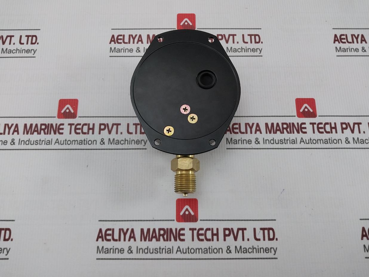 Nks Pressure Sensor Switch Gauge 0-10 Kgf/Cm2 0-10 Bar Ae10-841