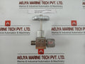 20Mpa Ss304 Nks Stainless Steel Flange Gate Valve Threaded