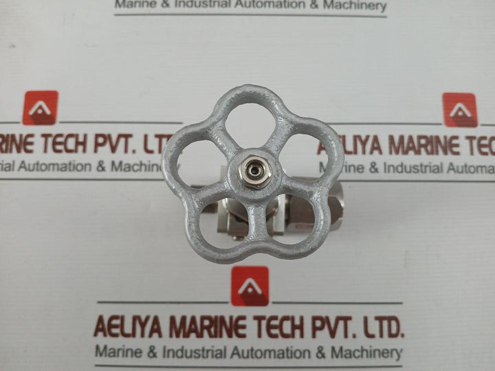 20Mpa Ss304 Nks Stainless Steel Flange Gate Valve Threaded