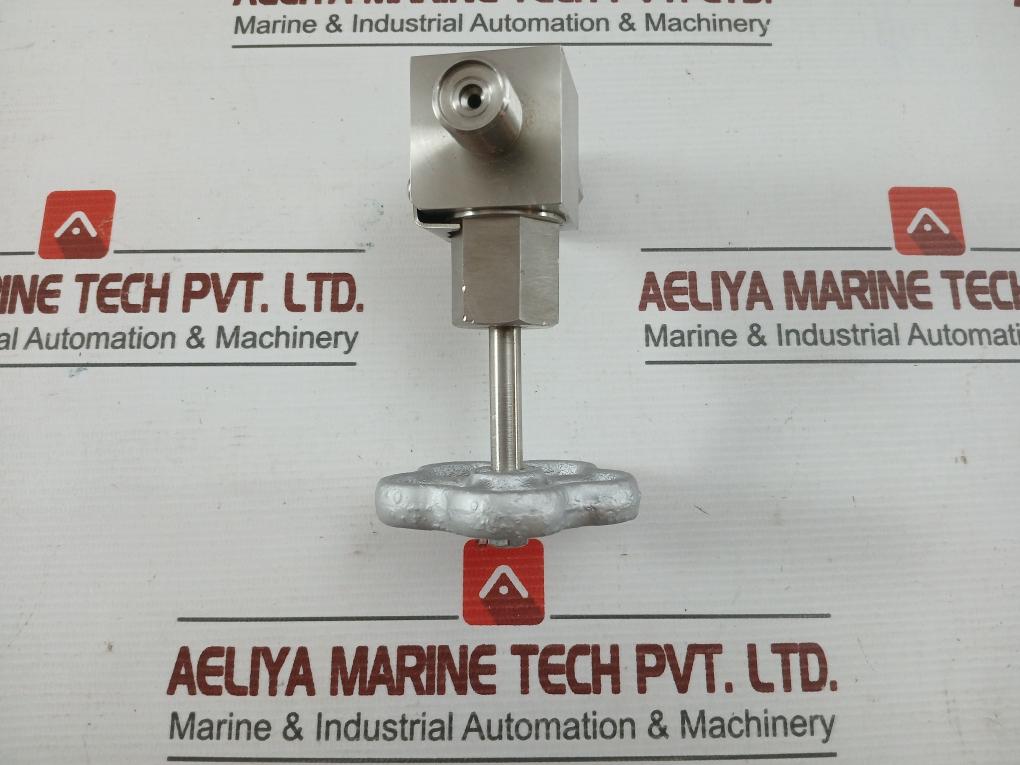 20Mpa Ss304 Nks Stainless Steel Flange Gate Valve Threaded