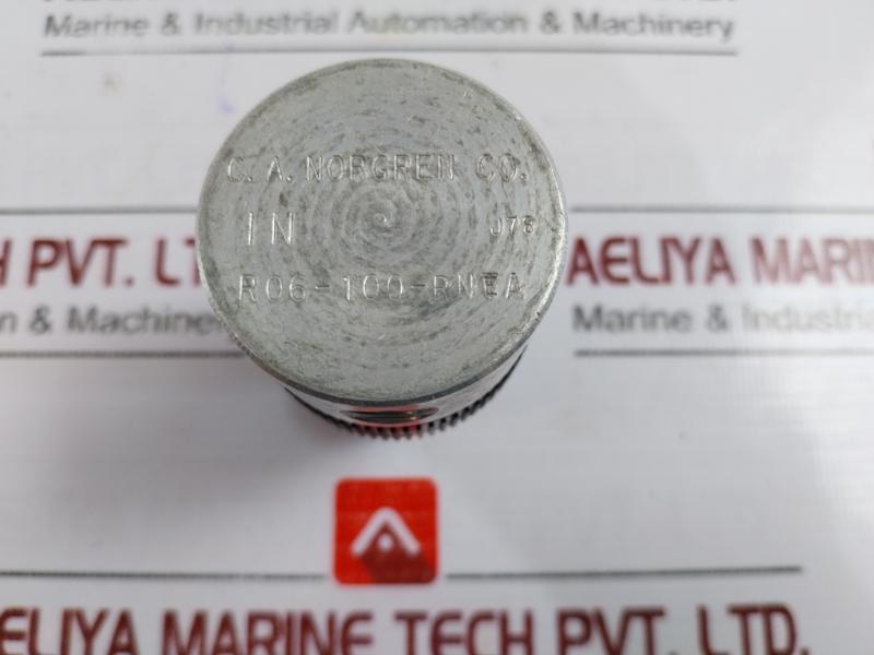 Norgren R06-100-rnea J78 Regulator