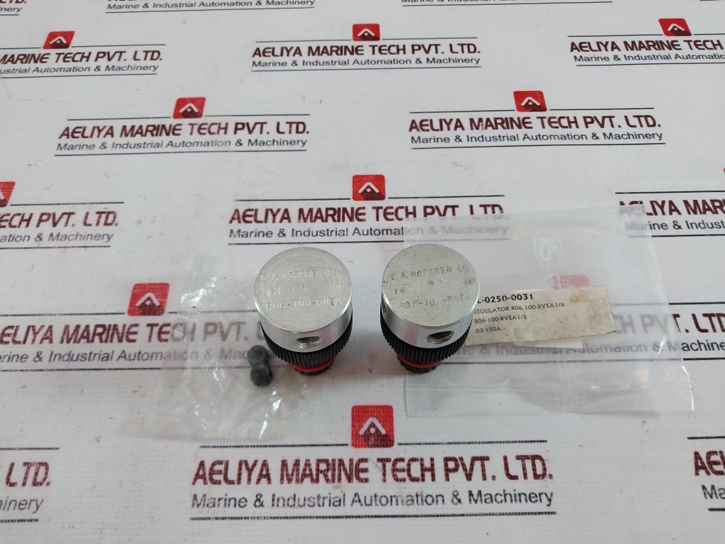 Norgren R06-100-rnea Water/Air Regulator