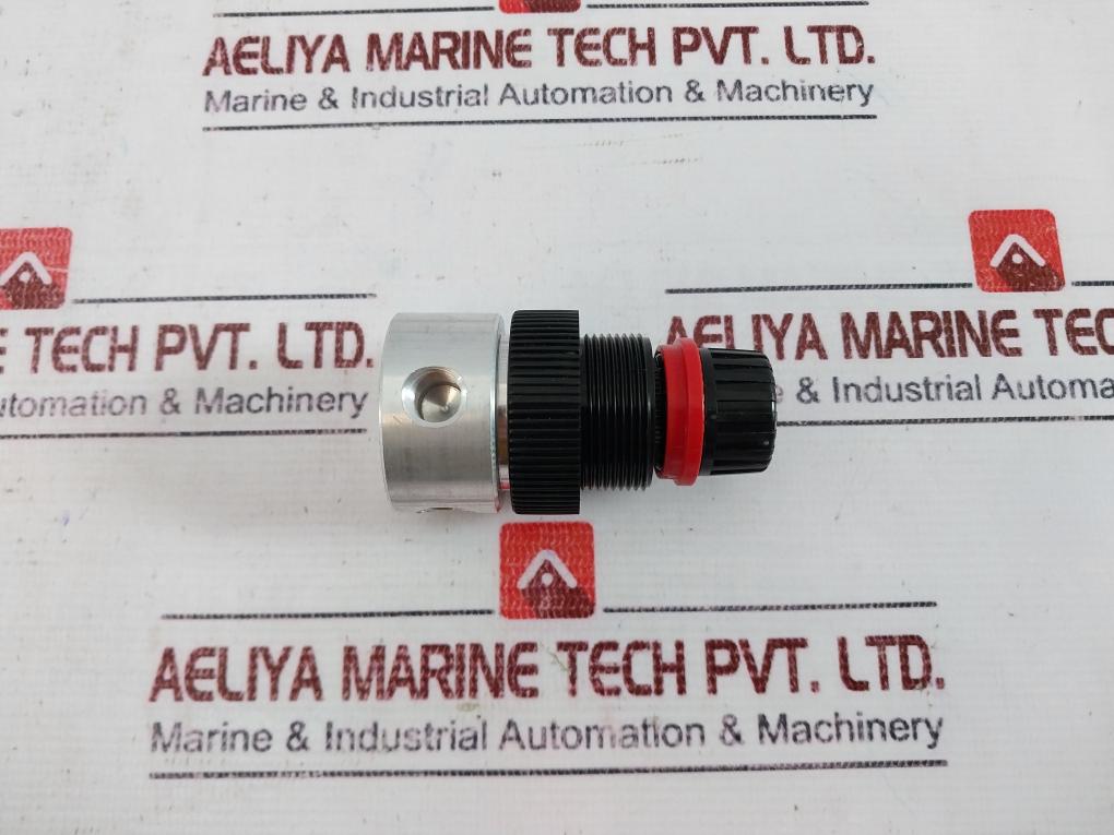 Norgren R06-100-rnea Water/Air Regulator