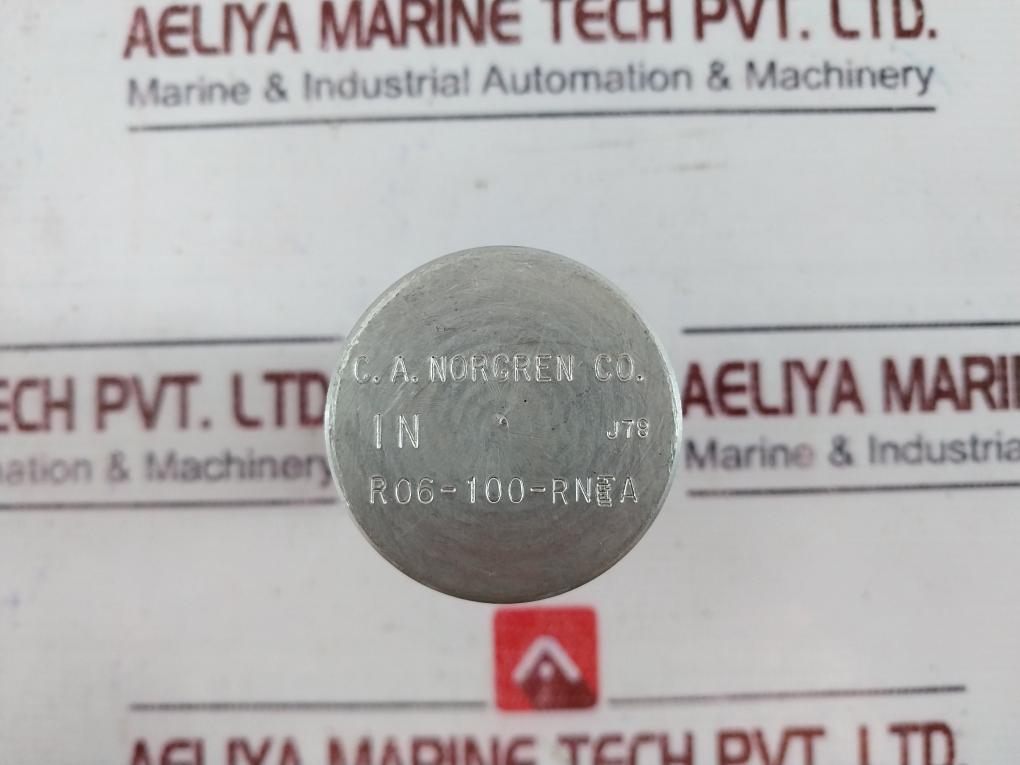 Norgren R06-100-rnea Water/Air Regulator