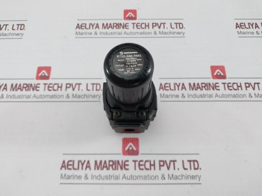 Norgren R73G-2Ak-rmg Pressure Regulator 300 Psig Max 21 Bar