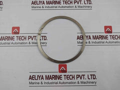 Nov 20350383 Heavy-duty External Retainer Ring 5.000 Nominal Od
