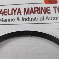 Nov 2410031440 Quad Seal O-ring 4P-220 Mud Pump