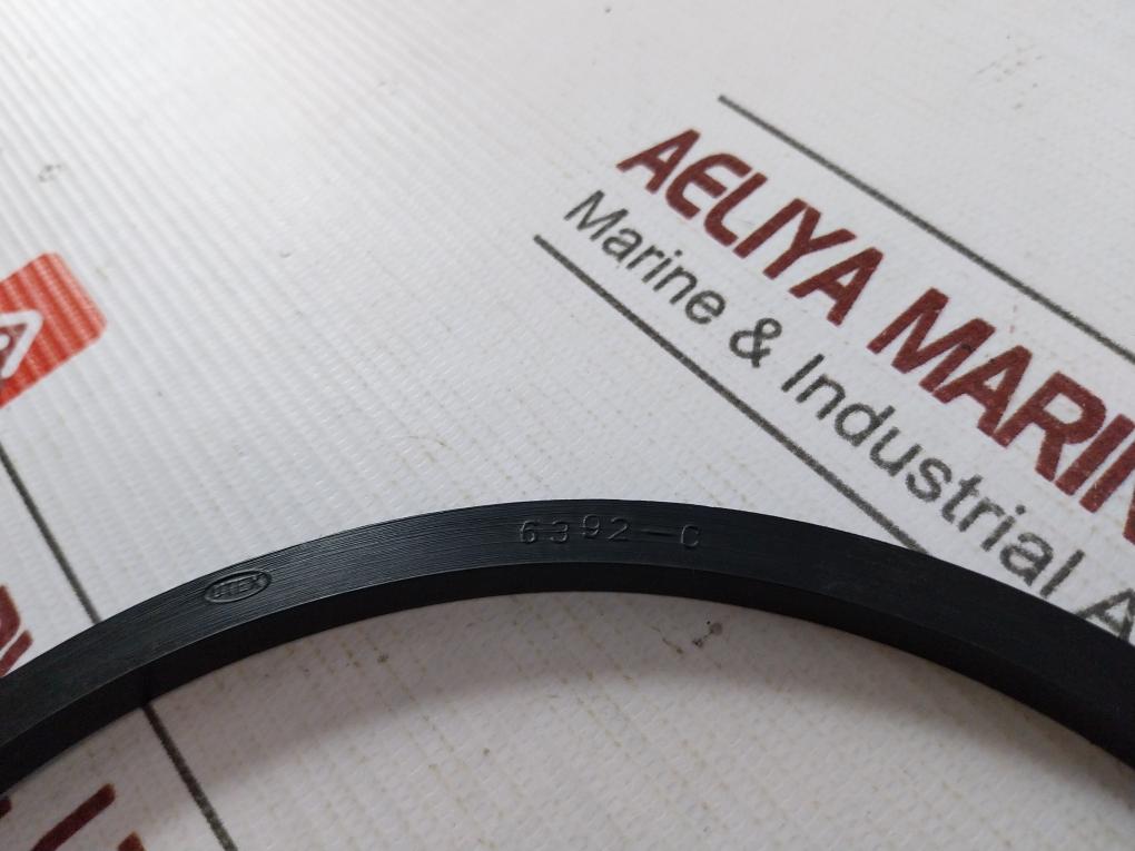 Nov 2410031440 Quad Seal O-ring 4P-220 Mud Pump