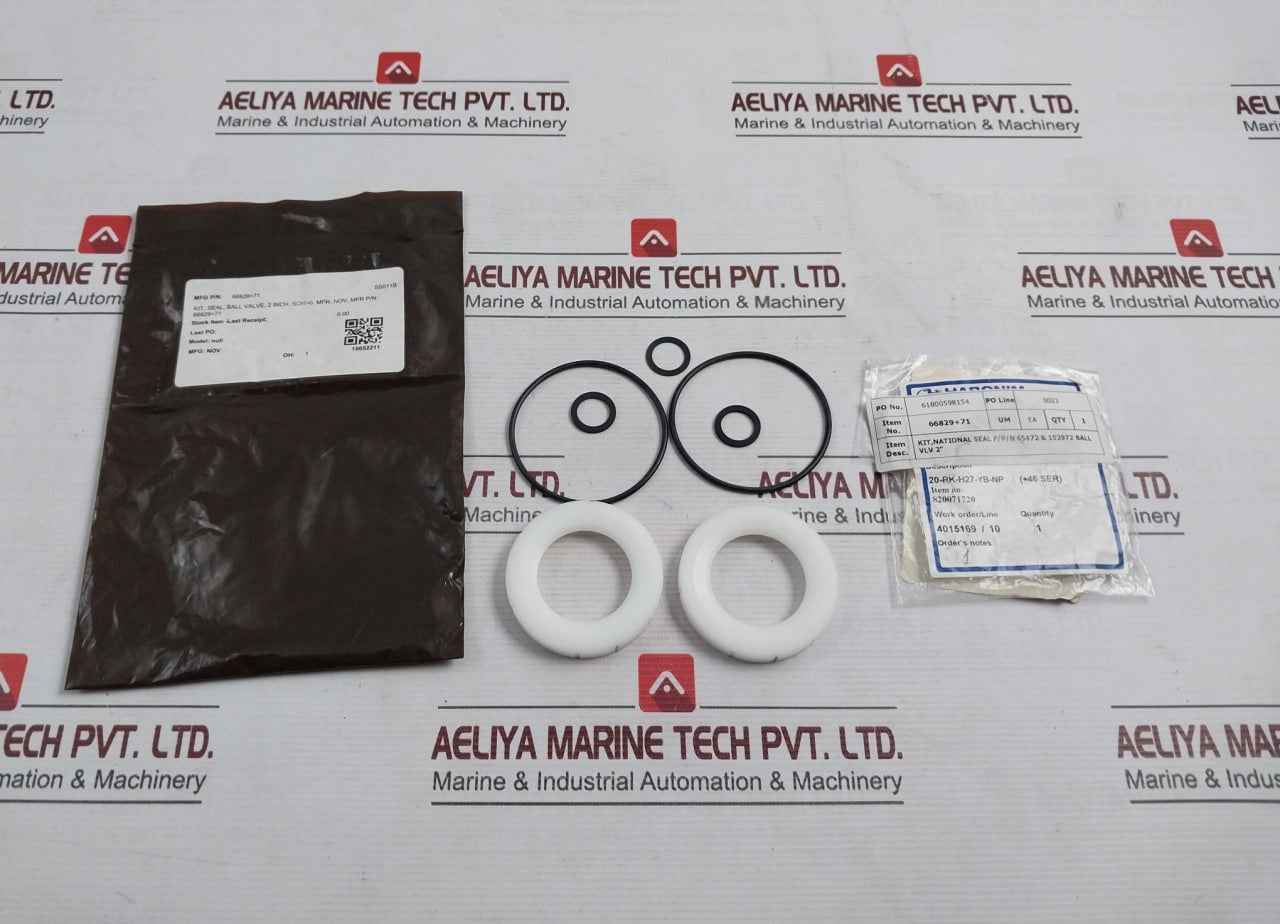 Nov 66829+71 Ball Valve Seal Kit 2 Inch 20-rk-h27-yb-np Ss011B