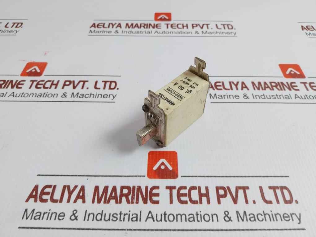 Nt00C High Rupturing Capacity Fuse Link Sme 500V~120Ka 50A