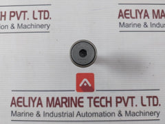Ntn Cr 16H Cam Follower Bearing Set 2N0704
