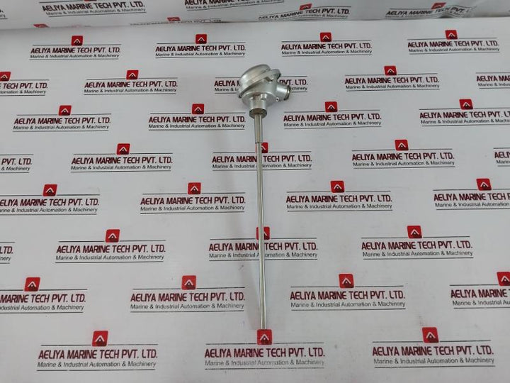 Ntw 2tp43-3-250 Temperature Sensor 2x Pt100 2-wire