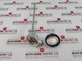 Ntw 2tp43-3-250 Temperature Sensor 2x Pt100 2-wire