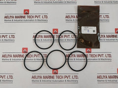 Oceaneering 100395-sk Valve Repair Kit