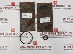 Oceaneering 100395-sk Valve Repair Kit