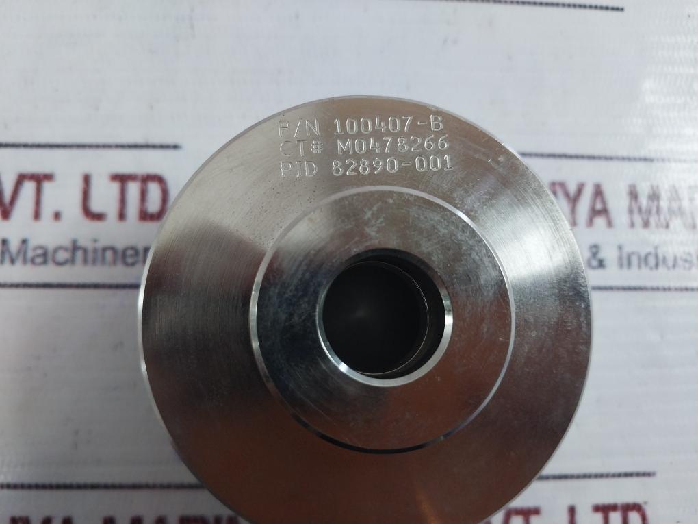 Oceaneering 100407-b Valve