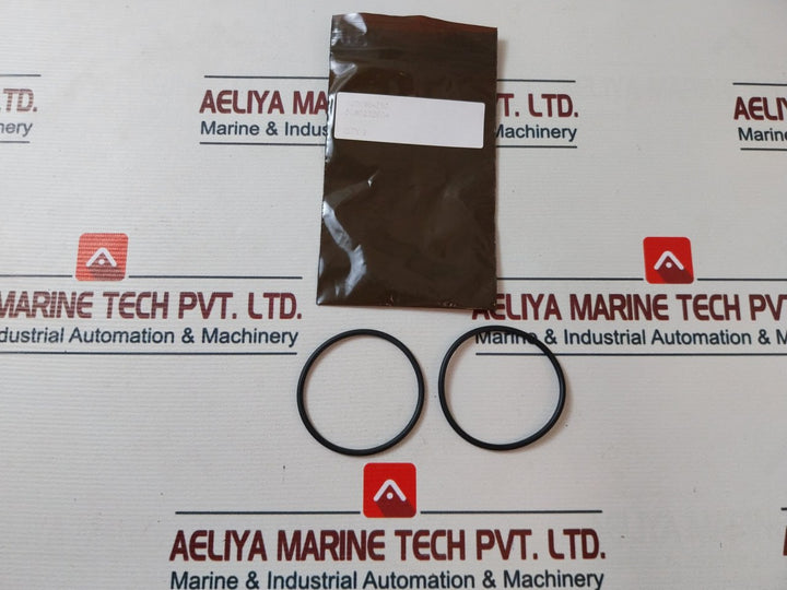 Oceaneering 100113-wh156 Regulator Hydraulic Pilot Repair Kit 100809