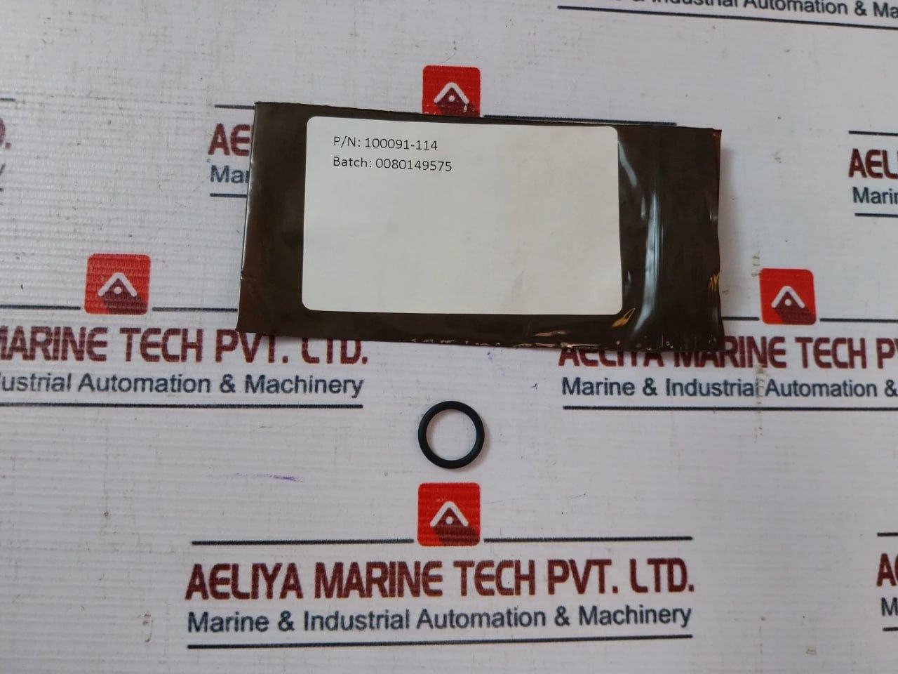 Oceaneering 100276-rk Valve Repair Kit