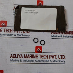 Oceaneering 100276-rk Valve Repair Kit