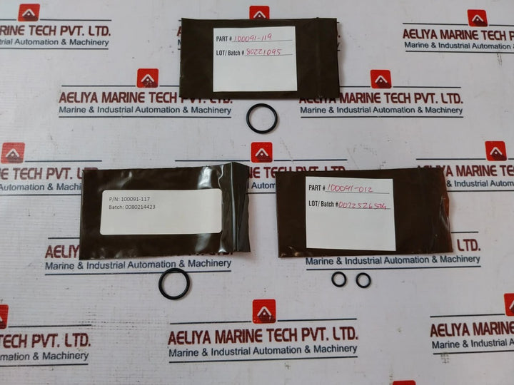 Oceaneering 100276-RK Valve Seal Repair Kit