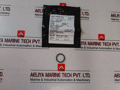 Oceaneering 100755-rk Repair Valve Kit