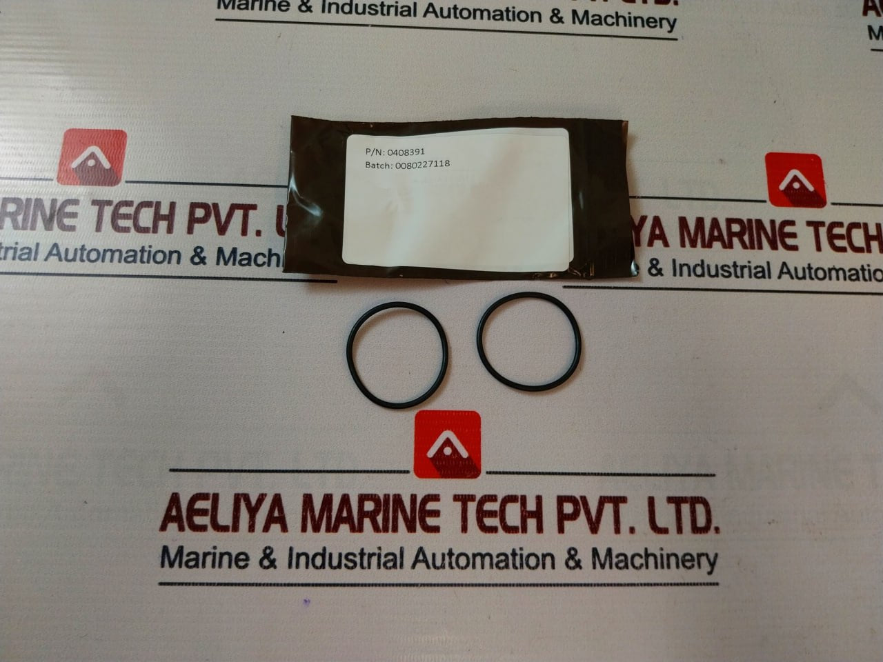 Oceaneering 100755-rk Repair Valve Kit