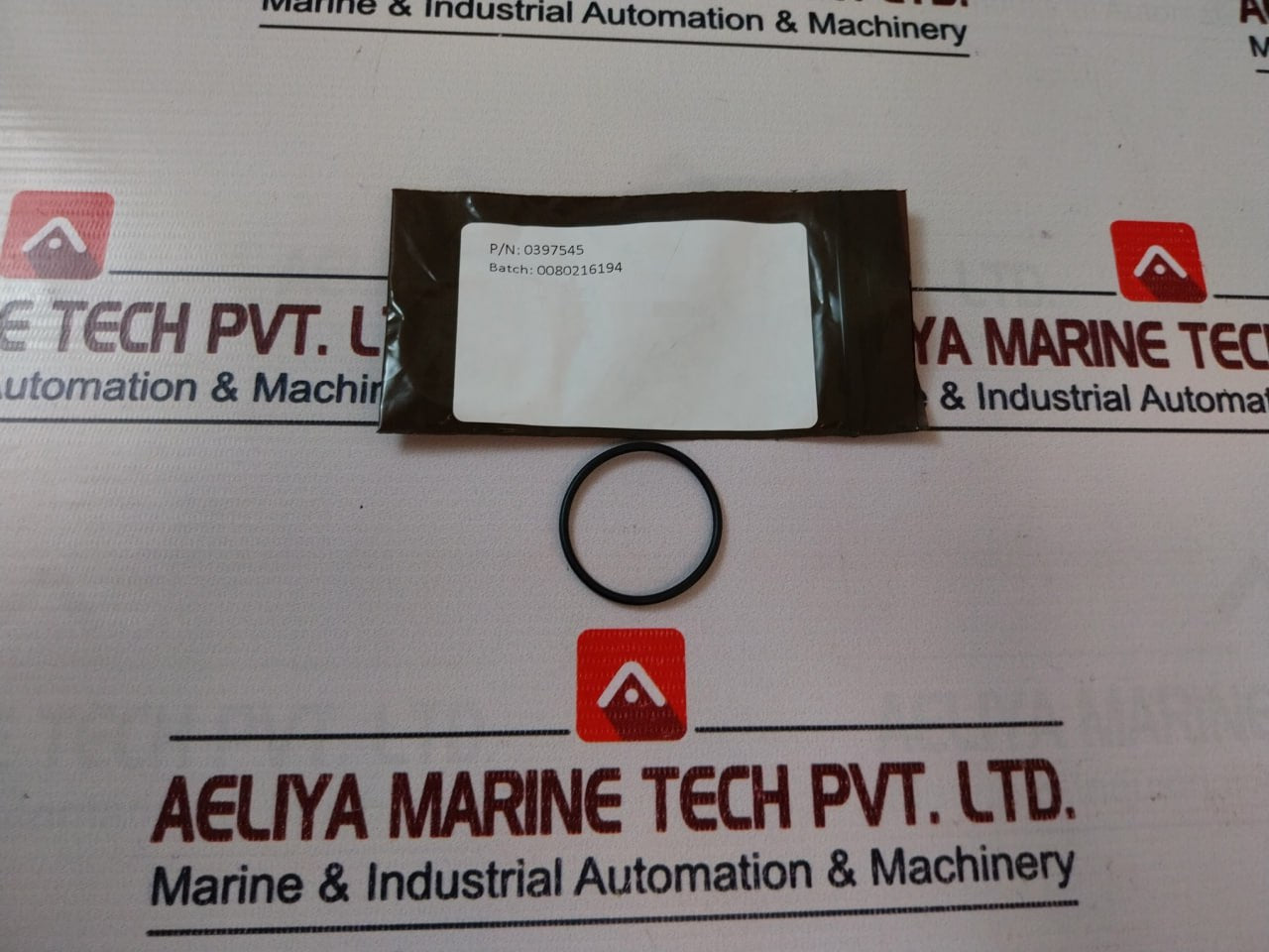 Oceaneering 100755-rk Repair Valve Kit