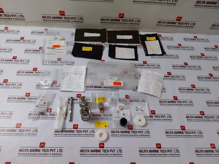 Oceaneering 100755Rk 0.5 Inch Spm Repair Valve Kit 100741