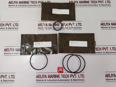 Oceaneering 100813-rk Valve Repair Kit 100768 Rev B