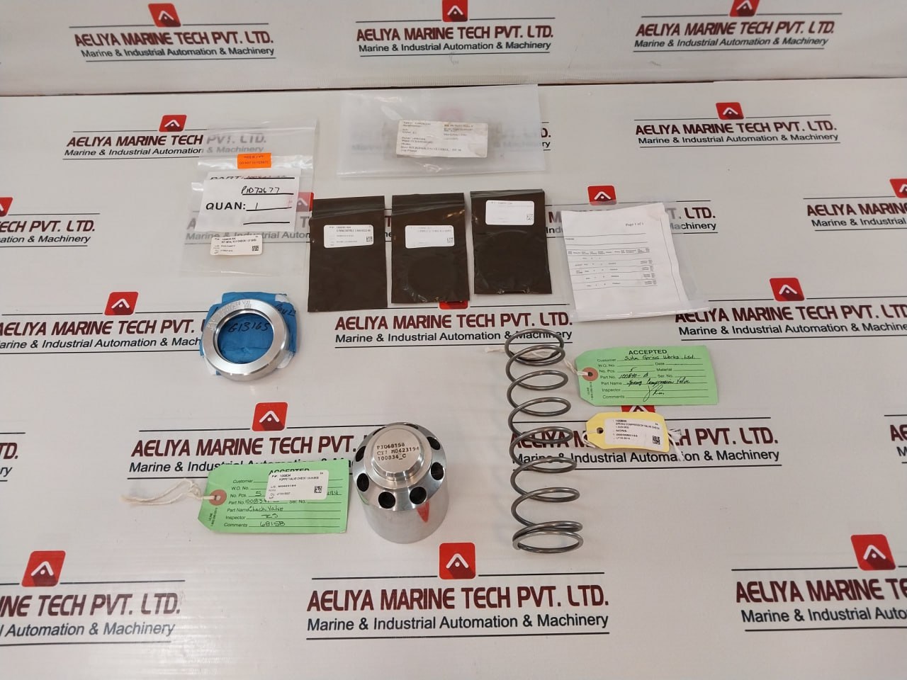 Oceaneering 100833-rk,100833-sk,100834,100840,100835 Check Valve Repair Kit
