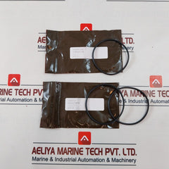 Oceaneering 100819Rk Valve Repair Kit 100766-aa