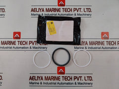 Oceaneering 100819Rk Valve Repair Kit 100766-aa
