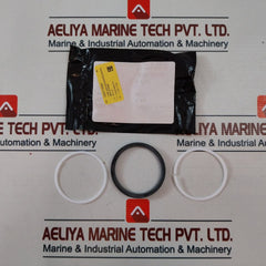 Oceaneering 100819Rk Valve Repair Kit 100766-aa