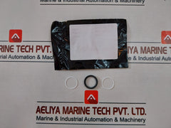 Oceaneering 100819Rk Valve Repair Kit 100766-aa