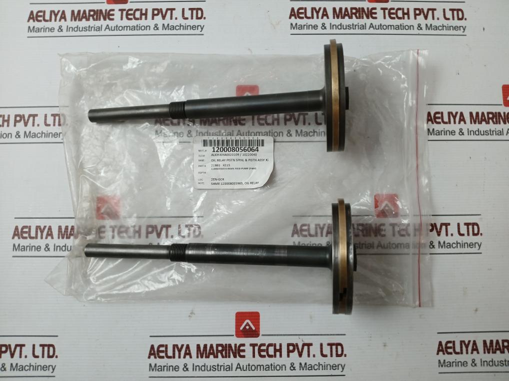 Oil Relay Pistn Spinl & Pistn Assy 21861 X215