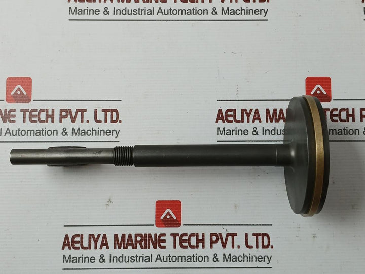 Oil Relay Pistn Spinl & Pistn Assy 21861 X215