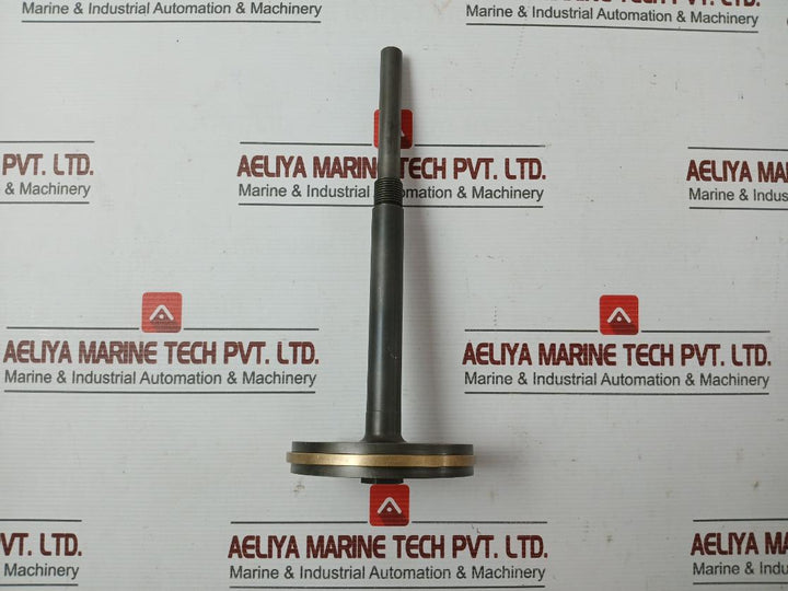 Oil Relay Pistn Spinl & Pistn Assy 21861 X215