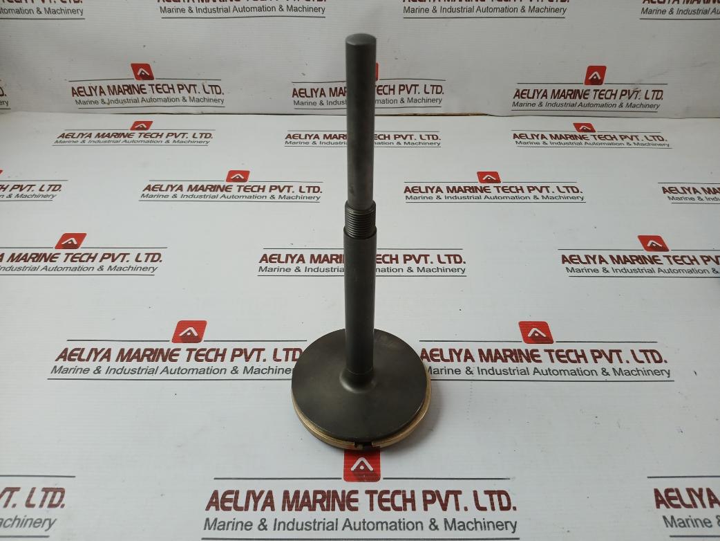 Oil Relay Pistn Spinl & Pistn Assy 21861 X215