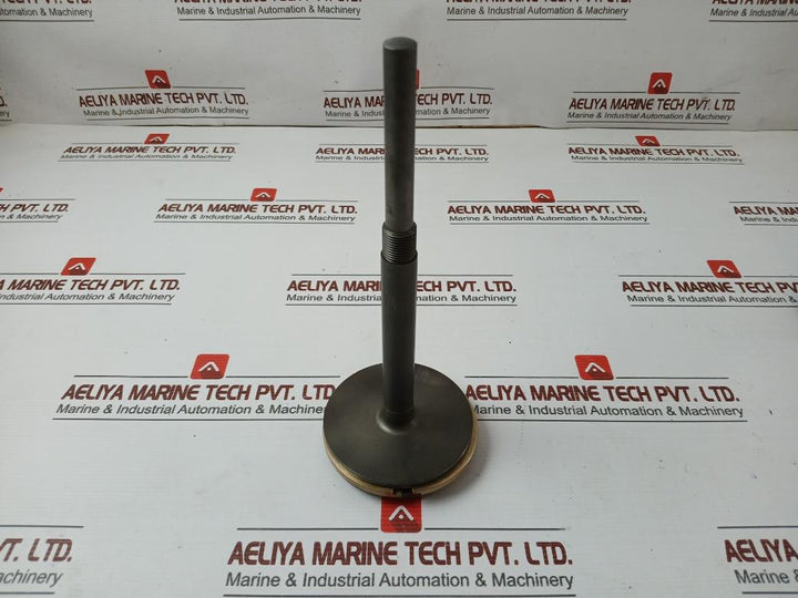 Oil Relay Pistn Spinl & Pistn Assy 21861 X215