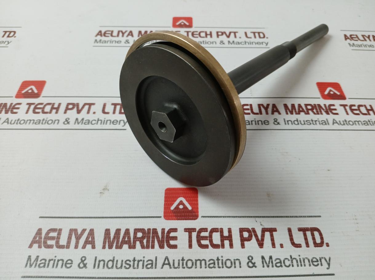 Oil Relay Pistn Spinl & Pistn Assy 21861 X215