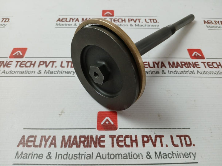 Oil Relay Pistn Spinl & Pistn Assy 21861 X215