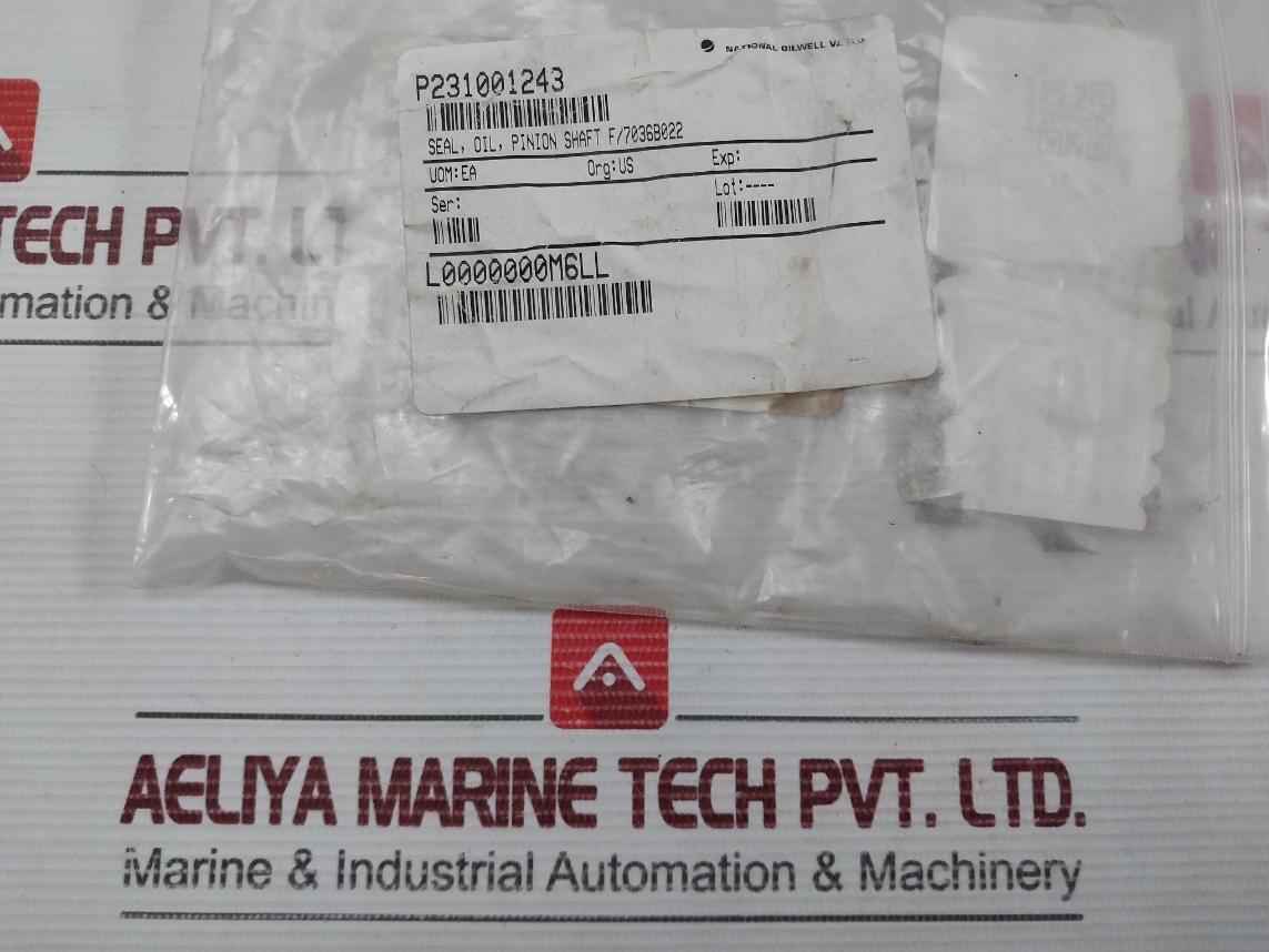 Oil Seal Skf Cr 17484