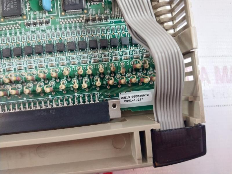 Omron Cqm1-id213 Dc Input Unit Module 24Vdc 4Ma 32 Points 1651N 500036870