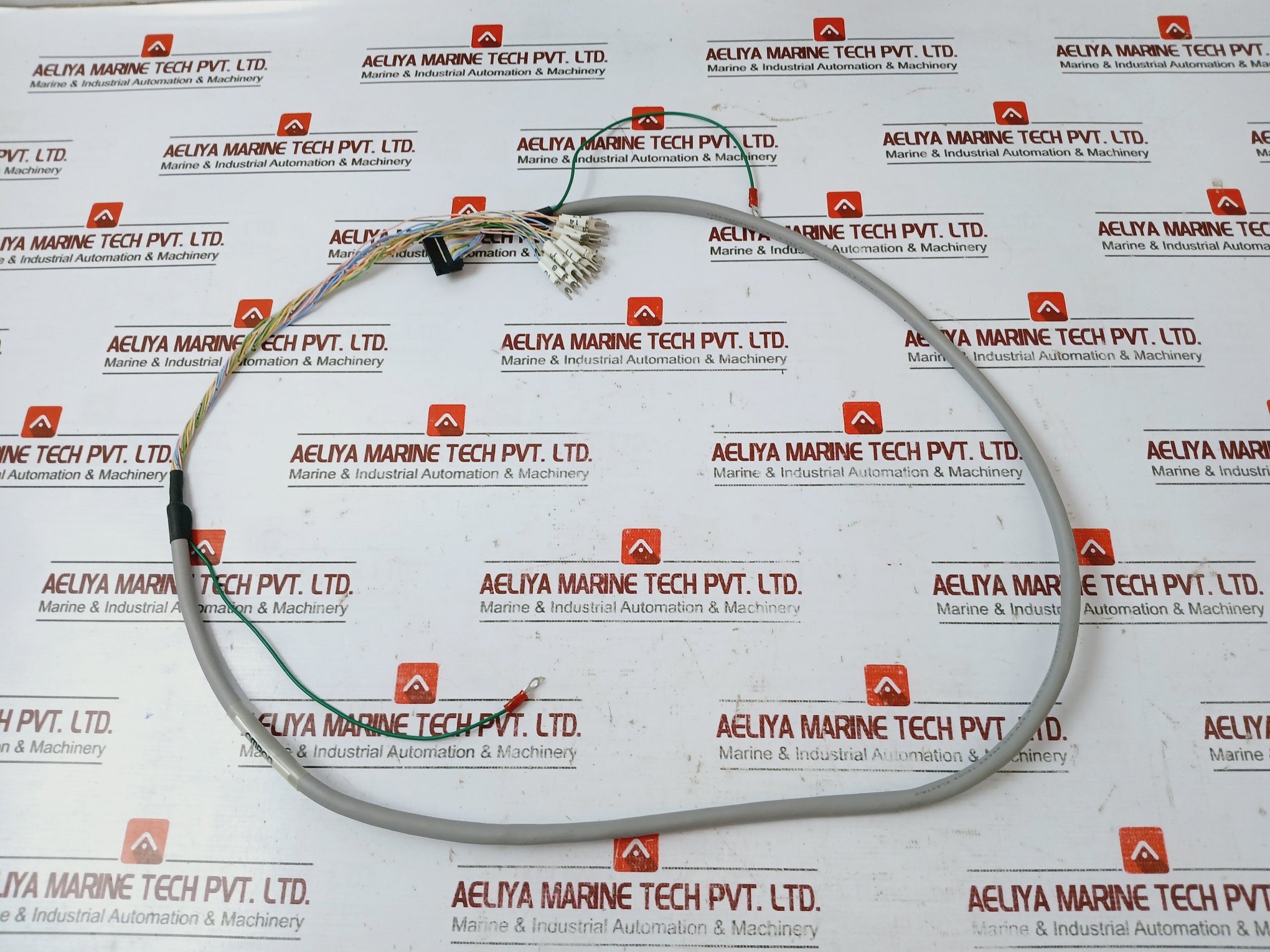 Omron Xw2Z-ry100C I/O Connection Cable