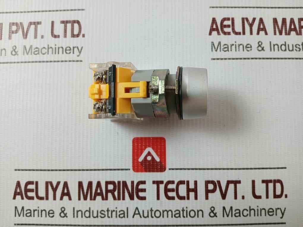 Onpow Las0 Push-button Switch 500V 10A