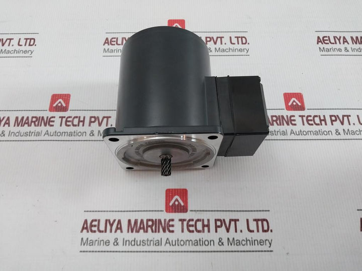 Oriental Motor 5Rk40Gn-at Reversible Motor 50/60Hz