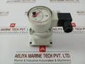 Oval-Valve-Open-shut-Indicator-NPI45B10-209996-3